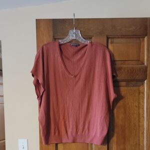Adriana Papell Rust V-Neck Knit Top